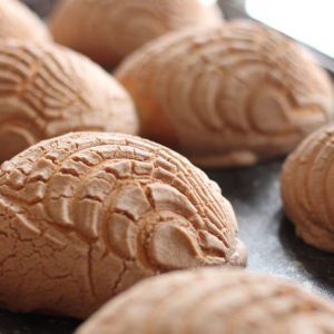 Lote de conchas de chocolate